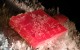 DSCN0866