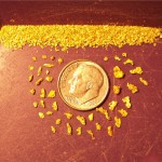 Aug_12_Fee Dig