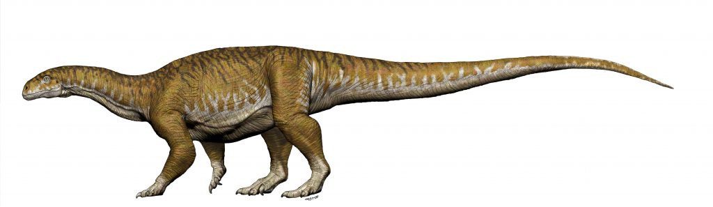 Ingnentia prima dinosaur