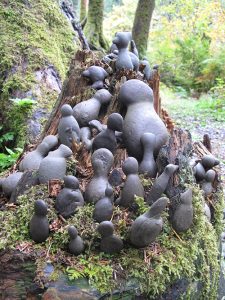 Fairy stone pile