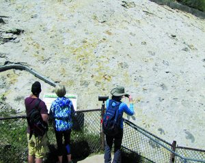 Onlookers at dino track site