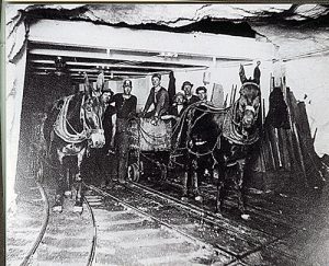 Bisbee miners