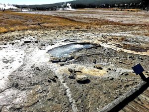 Ear Spring geyser