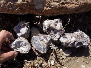 Dugway geodes