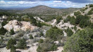 Taos County, New Mexico