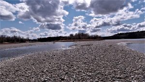 Yellowstone River gravel bar