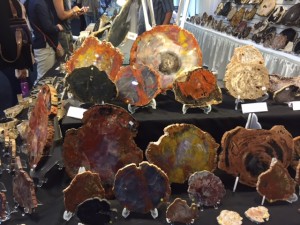 Petrified wood slabs