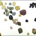 Feb_12_fee_dig1