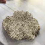 Aragonite
