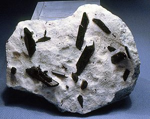 neptunite specimen
