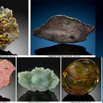 6 Spectacular Specimens Coming to Auction