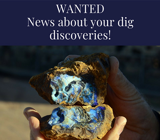 DigDiscoveryCallOut