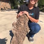 Docia’s Discovery of a Sizable Plate of Druzy DociaLenz_plate of druzy quartz