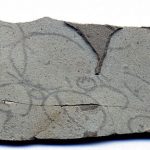 Grypania_spiralis,_Empire_Mine_near_Ishpeming_MI