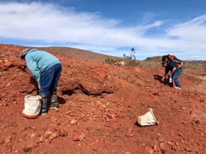 In the field digging for rocks