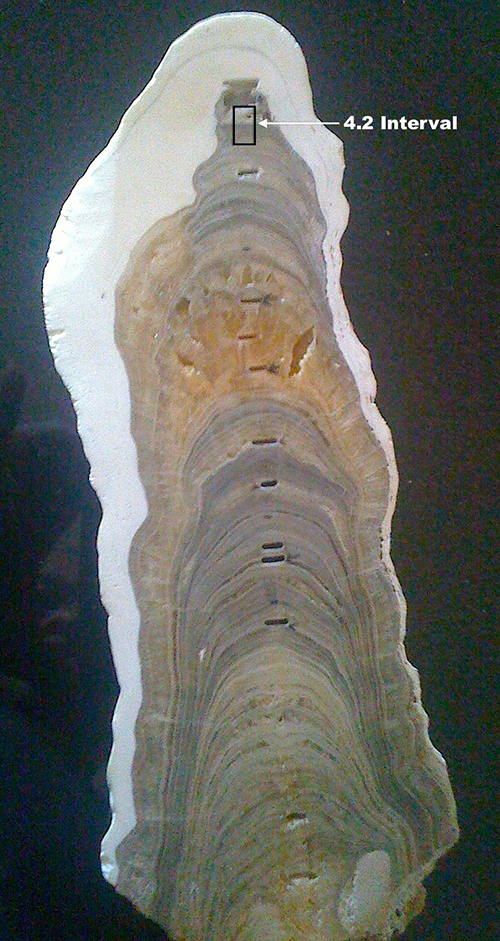 Meghalayan stalagmite