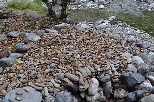 Heaping pile of concretions