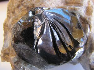 obsidian-apache-tear