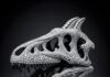 Intricate 3d-printed model of a theropod dinosaur skull with detailed bone structure