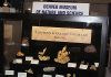 Farncomb gold-Denver Museum