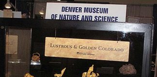 Farncomb gold-Denver Museum