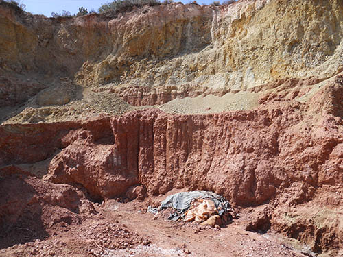 Red clay Permian