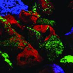 Zinc mine products shine in ultraviolet