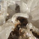 Ram’s Horn Selenite