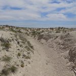 streambeds