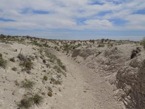 streambeds