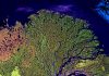 Landsat Lena River image