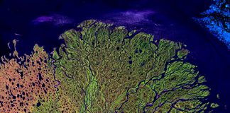 Landsat Lena River image
