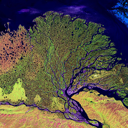 Landsat Lena River image