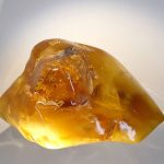 Amber specimen