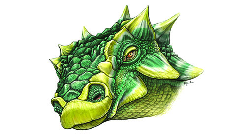 Drawing of Zuul cruvivastator Drawing of Zuul cruvivastator