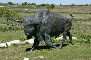 Bronze bison sculptures