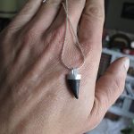 Fossilized barracuda tooth necklace