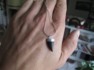 Fossilized barracuda tooth necklace