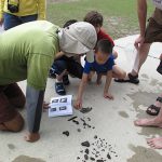 On-site fossil identification