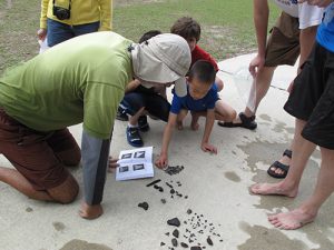 On-site fossil identification