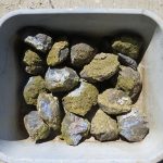 Priday Moss Bed finds