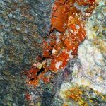 Open seam of wulfenite