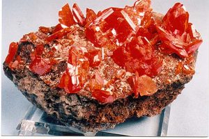 Wulfenite from the Red Cloud mine