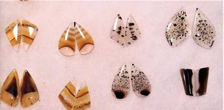 Matched pairs of earring cabochons