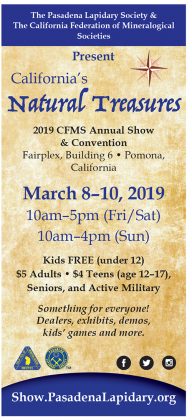 2019 CFMS Annual Show & Convention