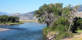 Yellowstone River in Paradise Valley