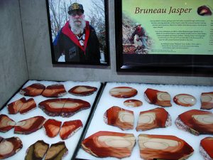 exhibits of agate at a quartzsite gem and mineral show booth