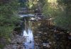 Cosumnes River