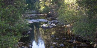 Cosumnes River