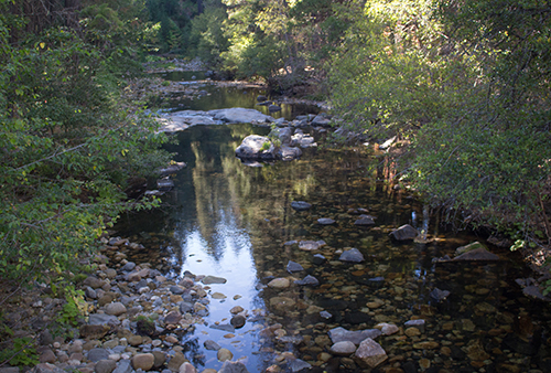 Cosumnes River Cosumnes River